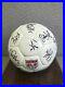 1999_USA_National_Women_World_Cup_team_Signed_Soccer_Ball_coa_01_kmkc
