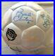 1999_US_Women_s_World_Cup_team_autographed_signed_soccer_ball_Mia_Hamm_Chastain_01_dhs