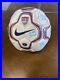 1999_US_Women_s_World_Cup_team_signed_soccer_ball_Mia_Hamm_Chastain_Scurry_25yr_01_ptp