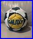 2002_03_La_Galaxy_Team_Signed_10x_Mls_Soccer_Ball_01_ex