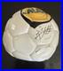2004_LA_Galaxy_Signed_Soccer_Ball_Hong_Myung_bo_Andreas_Herzog_Autographed_MLS_01_hrzb