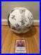 2025_Washington_Spirit_Team_Signed_Logo_Soccer_Ball_Coa_Trinity_Rodman_Bonus_01_dh