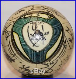 Adidas SPEEDCELL/Jabulani/Jobulani/Torfabrik footgolf model used signed ball