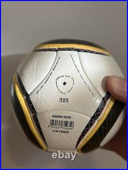 Autographed Mini Soccer Ball From South Africa 2010 World FIFA Cup