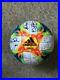Autographed_Team_USA_2019_Women_s_World_Cup_Soccer_Ball_01_nf
