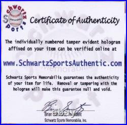 Brandi Chastain Signed 1999 Women's Team USA Soccer Ball (Schwartz Hologram)