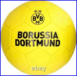 Erling Haaland Dortmund Autographed Logo Soccer Ball