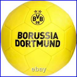 Erling Haaland Dortmund Signed Logo Soccer Ball