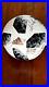 FIFA_World_Cup_2018_Telstar_18_Russia_Official_Match_Ball_SIGNED_BY_MEXICO_SQUAD_01_jhg