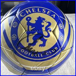 Fernando Torres Autograph Futbol, Soccer Ball, Chelsea FC Champions League