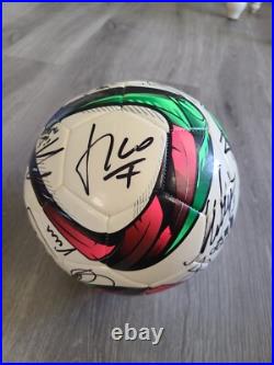 Global Legends Series Signed soccer Ball