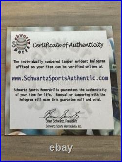 Hope Solo Signed Soccer Ball & Brandi Chastain Signed Soccer Ball- SCHWARTZ