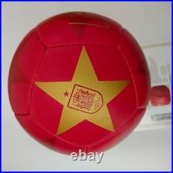 Lamine Yamal #19 Signed Autographed Soccer Ball With COA Lamine Yamal #19 Signed Autographed Soccer Ball With COA