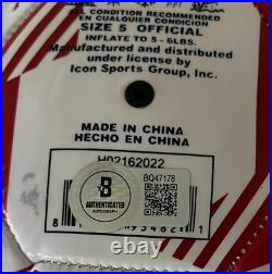 MAURICIO POCHETTINO SIGNED USMNT TEAM USA SOCCER BALL withVIDEO PROOF BECKETT COA