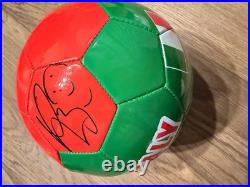 Marco Materazzi Signed Italy Soccer Ball/ Inter Milan Autograph