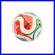Mario_Balotelli_Signed_World_Cup_Soccer_Ball_with_Beckett_COA_01_wh