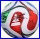 Nico_Paz_Argentina_Autographed_2026_FIFA_World_Cup_Trionda_adidas_Soccer_Ball_01_sg