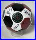 Portland_Thorns_FC_Autographed_Mini_Soccer_Ball_2018_2019_Season_Players_01_hfh