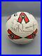 Rod_Stewart_signed_Soccer_Ball_stage_used_in_used_condition_01_wh