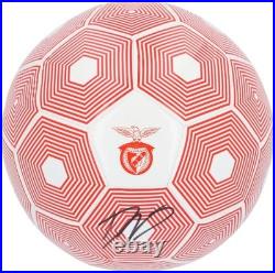 Signed Darwin Nunez Benfica Signed & Logo Soccer Ball