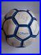 Soccer_ball_of_the_FC_Porto_autographed_by_the_players_Mccarthy_Pepe_Helton_01_jia