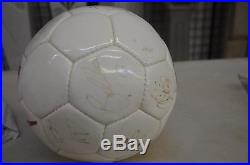 USA Nike Soccer Ball Signed by 1994 USA World Cup Soccer Team