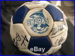 West Adelaide Nsl Hellas Sharks Rare Signed Soccer Ball Great Players Signos
